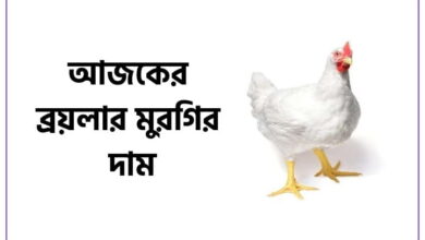 আজকের ব্রয়লার মুরগির দাম কত ২০২৪ (গুরুত্বপূর্ণ)